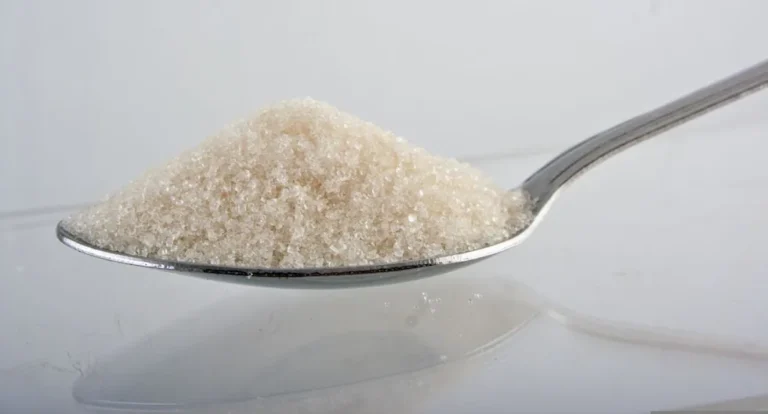 Azúcares artificiales: efectos dañinos para la descendencia