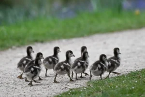 La verdad detrás del hype: ¿Son las tendencias solo operaciones de marketing?