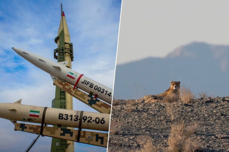 El guepardo asiático: la lucha por sobrevivir en medio del conflicto de Irán