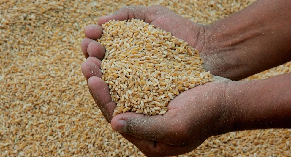 Alerta en el mercado de granos: Perú enfrenta riesgo inflacionario por alza en precios internacionales