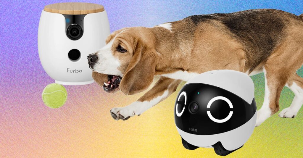 Las 10 Mejores Cámaras para Mascotas de 2026: Guía Definitiva