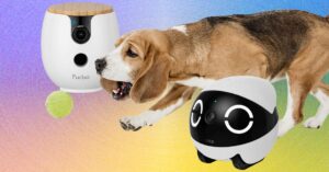 Las 10 Mejores Cámaras para Mascotas de 2026: Guía Definitiva