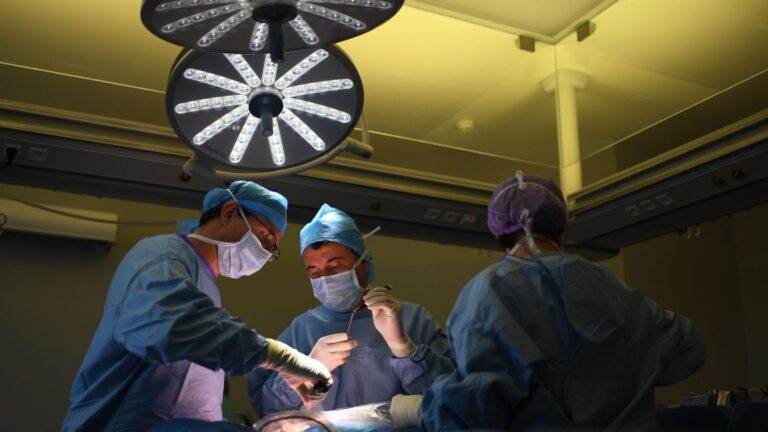 Cirujano de Florida Acusado de Muerte Tras Retirar Hígado en Lugar del Bazo