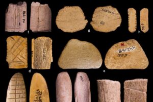 Los orígenes de los dados: hallazgo que reescribe la historia del juego en la Edad del Hielo