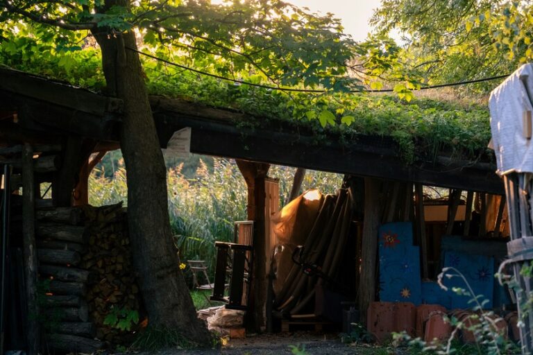 Christiania: El experimento social de Copenhague