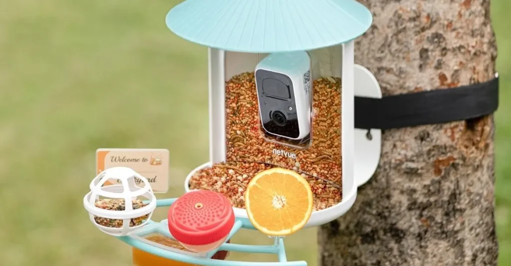 Birdfy Smart Feeders: El Regalo Tecnológico Perfecto para el Día de la Madre