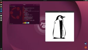 Revive el espíritu desarrollador: Convierte tu PS5 en un PC con Linux y Steam