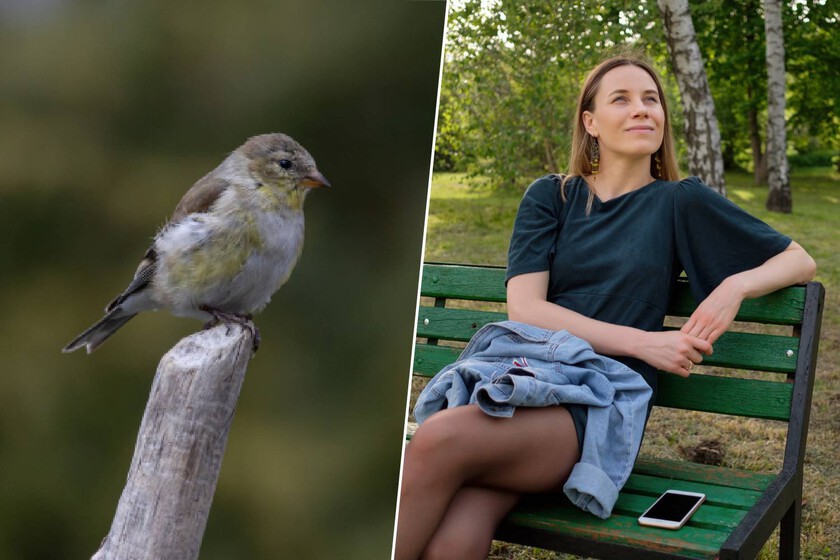 Pájaros de ciudad: ¿Por qué le tienen más miedo a las mujeres que a los hombres?