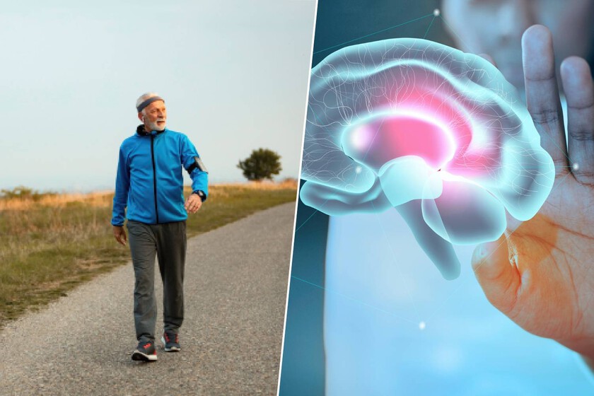 Dime a qué velocidad caminas a los 45 años y te diré cómo envejece tu cerebro: la ciencia detrás del ‘sexto signo vital’