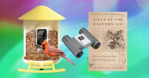 Guía Definitiva: Los Mejores Regalos para Amantes de las Aves