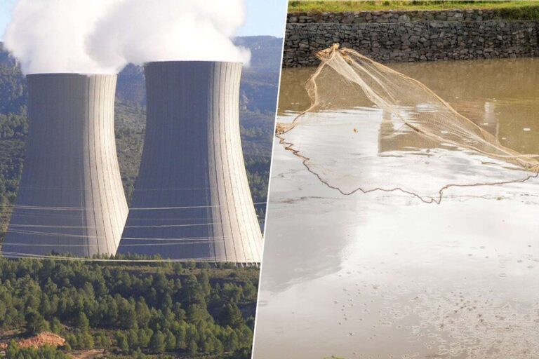 La Fiebre del Uranio: Cómo China está ‘Pesando’ el Combustible Nuclear en los Océanos