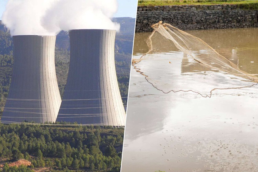 La Fiebre del Uranio: Cómo China está ‘Pesando’ el Combustible Nuclear en los Océanos