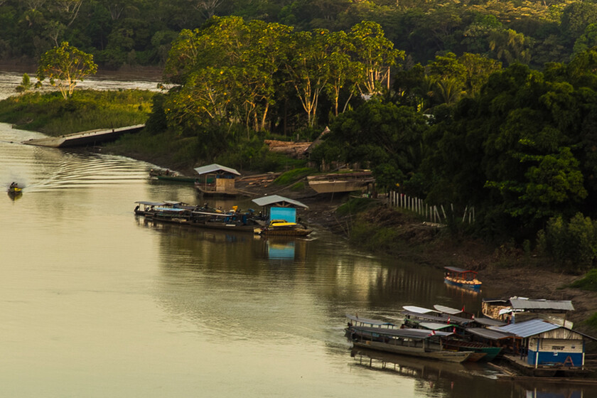 La Trampa Legal del Oro: Cómo la Burocracia Permite la Destrucción de la Amazonía